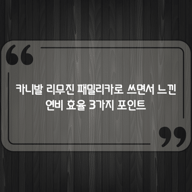 카니발 리무진 패밀리카로 쓰면서 느낀 연비 효율 3가지 포인트 1 카니발 리무진 패밀리카로 쓰면서 느낀 연비 효율 3가지 포인트